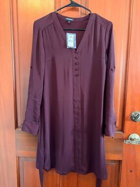 Express Long-Sleeve V-Neck Tunic Dress in Plum